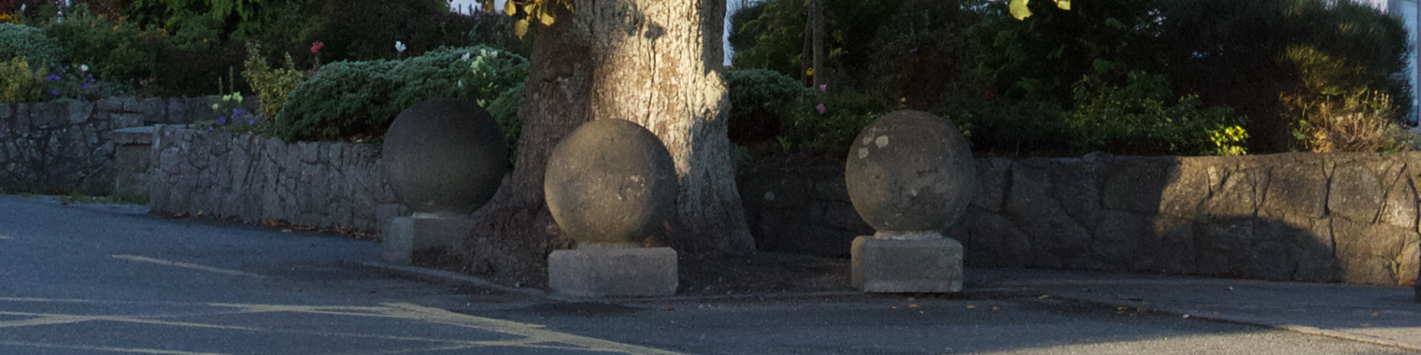 Four StoneTree Marker In Blessington Village